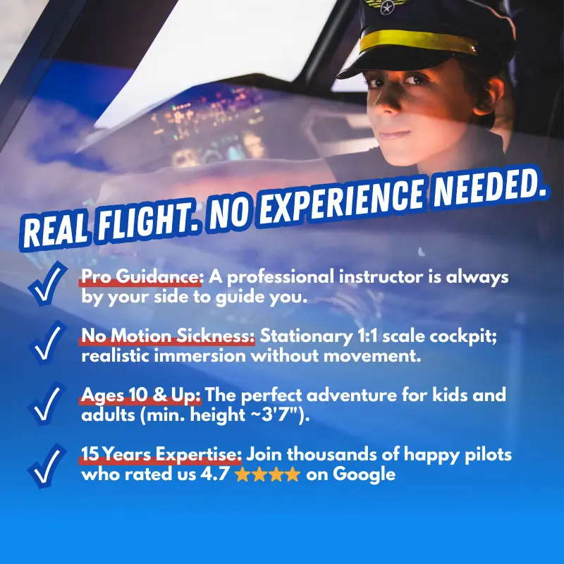 Discovery Package - Image 4